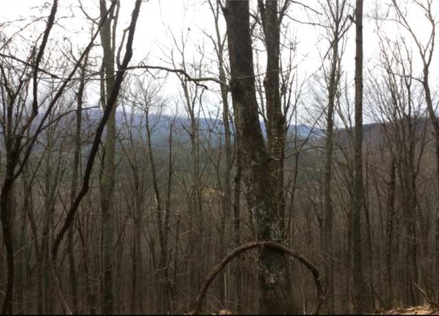 Property at Walnut Rdg, Ellijay, GA 30536