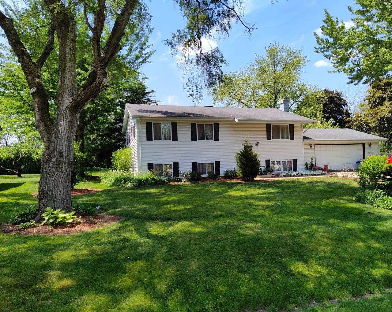 1S162 Buttercup Ln, Villa Park, IL 60181 | Redfin