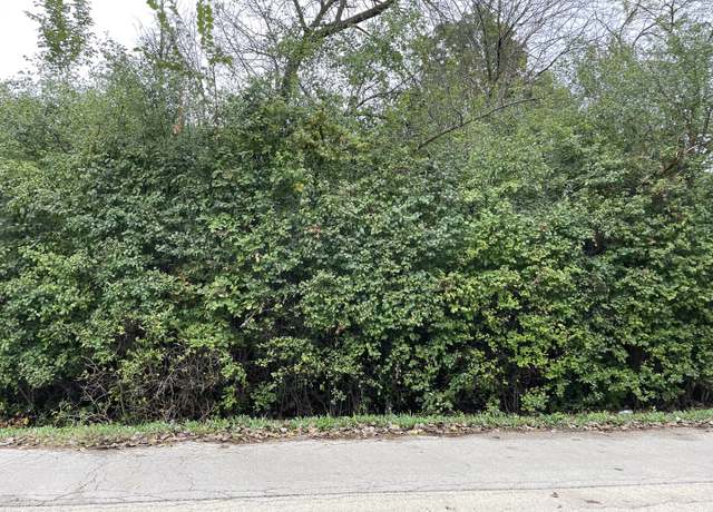 Property at 000 Redbud Dr, Joliet, IL 60433