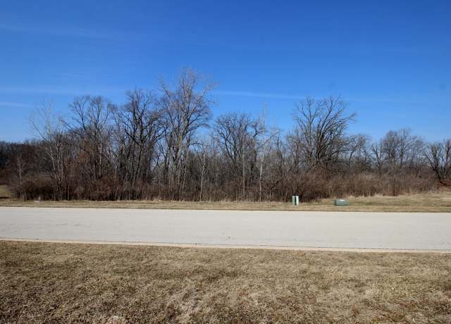 Property at 1193 Georgias Way, New Lenox, IL 60451