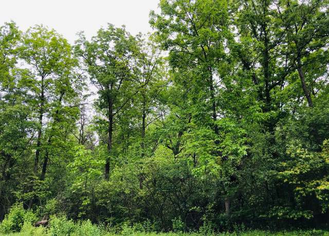 Property at 806 Echo (lot 22) Trl, Marengo, IL 60152