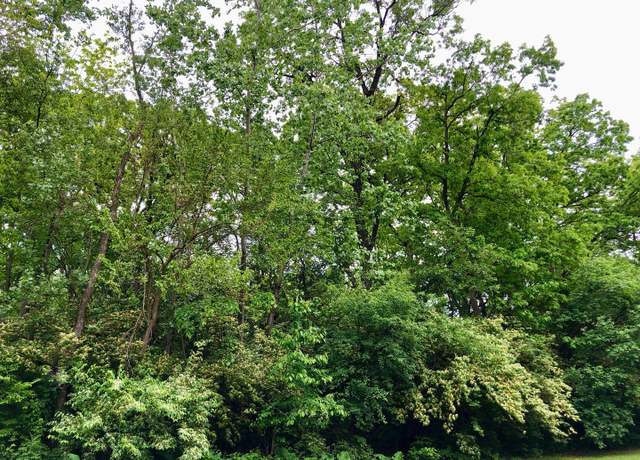 Property at 910 Echo (lot 6) Trl, Marengo, IL 60152