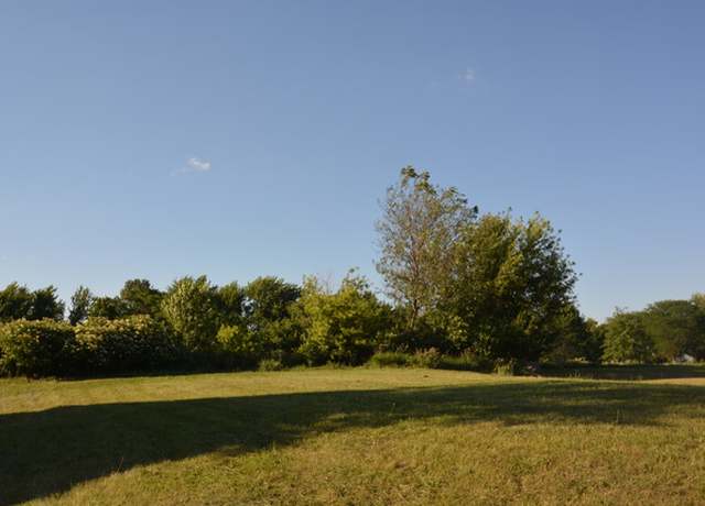 Property at 321 Pine St, Beecher, IL 60401