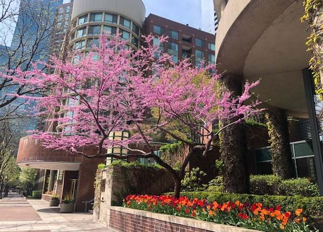 Property at 480 N Mcclurg Ct #807, Chicago, IL 60611, 1 bath