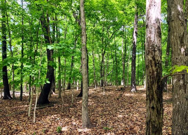 Property at Lot 285 Winter Haven Dr, Varna, IL 61375