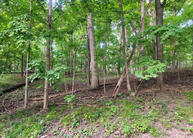 Property at Lot 1806 Tanglewood Dr, Varna, IL 61375