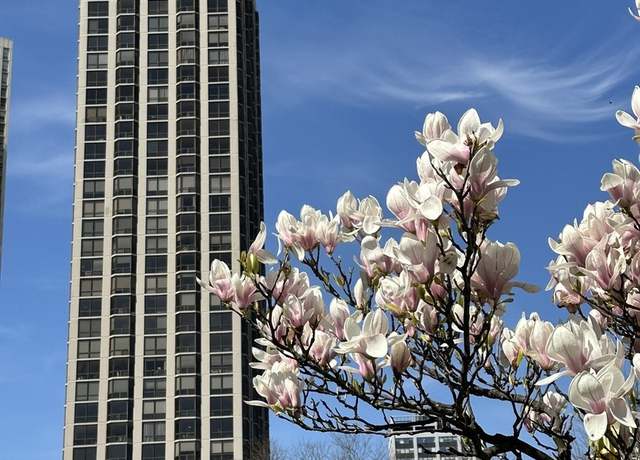 Property at 2650 N Lakeview Ave #3904, Chicago, IL 60614, 1 bed, 1 bath