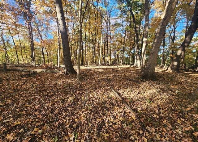 Property at Lot 1783/84 Blueberry Dr, Varna, IL 61375