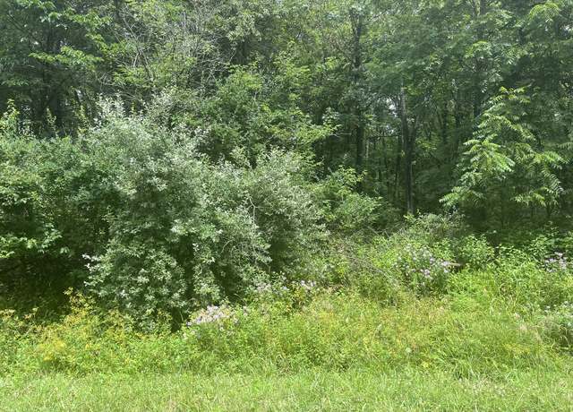 Property at 28 Cedar Ln, Putnam, IL 61560