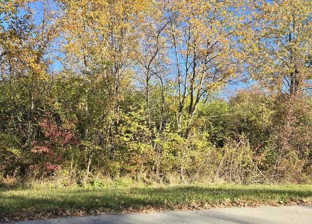 Property at vacant W Monee-manhattan Rd, Monee, IL 60449