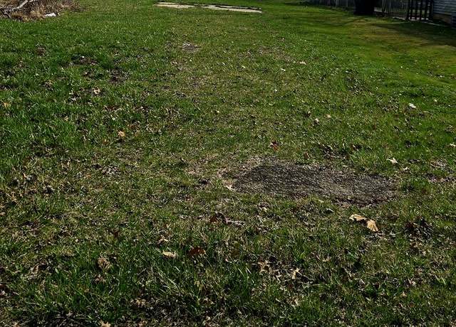 Property at 113 S Van Horn St, Braceville, IL 60407