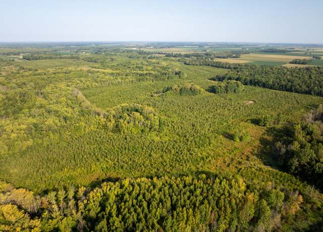 Property at Tract 2 Mint Ln, Clay City, IL 62824