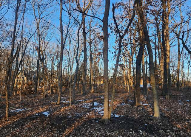 Property at Lot 1102 Jay Ct, Varna, IL 61375
