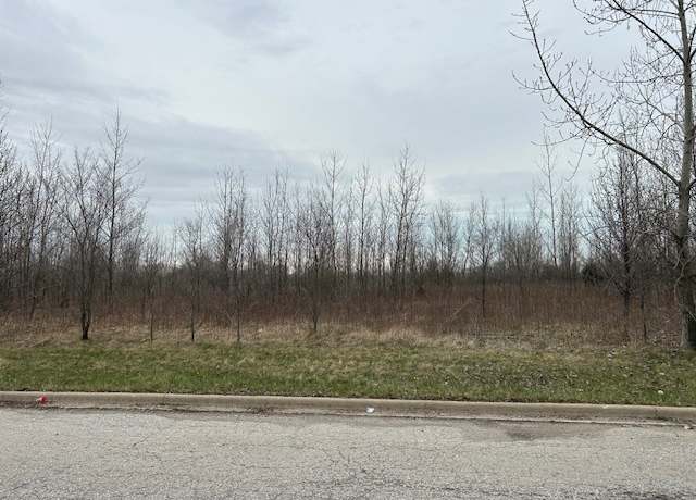 Property at 3250 Westwood Ln, Lynwood, IL 60411