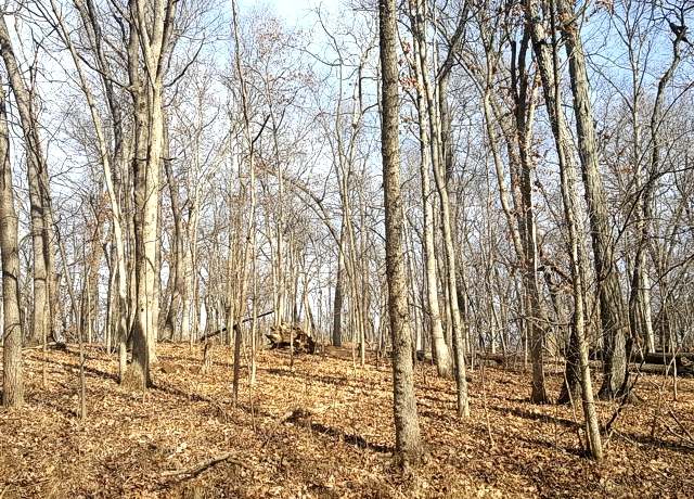 Property at Lot 1808 Tanglewood Dr, Varna, IL 61375