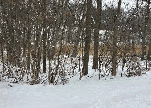 Property at 5N572 Hidden Springs Dr, St. Charles, IL 60175