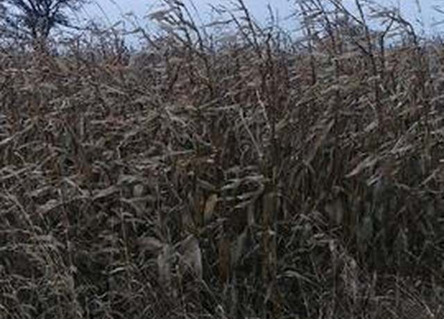 Property at 000 E 29th Rd, Sandwich, IL 60548
