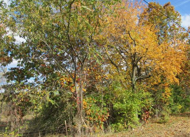 Property at 0000 Stevens Ln, Wilmington, IL 60481