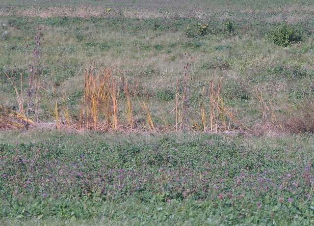 Property at Lot 4 S Rt 52 Rd, Manhattan, IL 60442