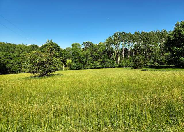 Property at Lot 1049 Spring Mill Ct, Varna, IL 61375