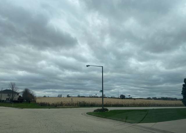 Property at 00 NE Corner Cherry Hill Road And Moss Lane Rd, New Lenox, IL 60451