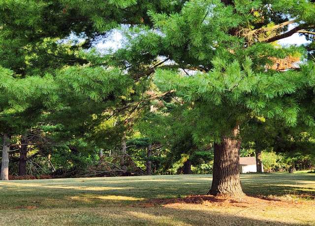 Property at Lot 20 Clubhouse Dr, Varna, IL 61375