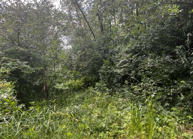 Property at 0000 River Pike Rd, Sun River Terrace, IL 60964