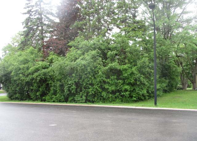 Property at 1S424 Monterey Ave, Oakbrook Terrace, IL 60181