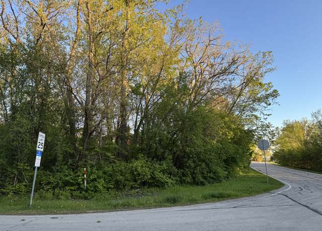 Property at Lot 17 Lacey Ave, Naperville, IL 60563