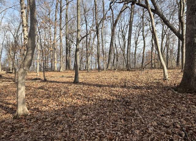 Property at 1096/97 Lake Wildwood Dr, Varna, IL 61375