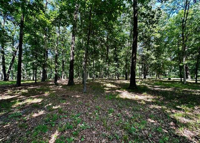 Property at 220 Beyers Lake Est, Pana, IL 62557