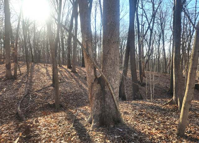 Property at Lot 1764 Sunflower Ct, Varna, IL 61375