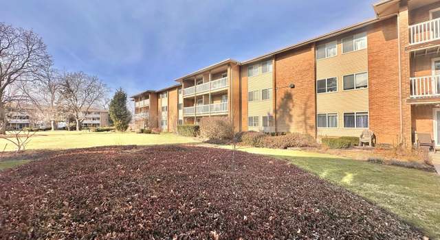 Photo of 920 Beau Dr #207, Des Plaines, IL 60016