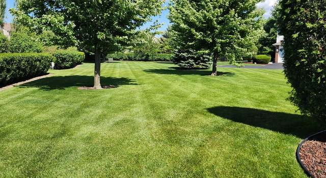 Photo of 2602 Foxwood Dr #0, New Lenox, IL 60451