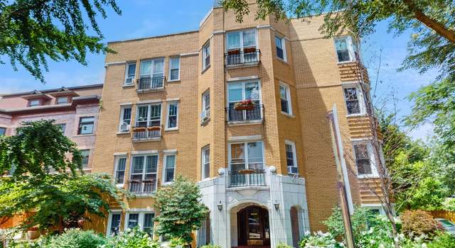 Photo of 225 N Grove Ave #2, Oak Park, IL 60302