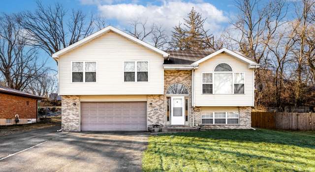Photo of 16474 Belleplaine Dr, Markham, IL 60428