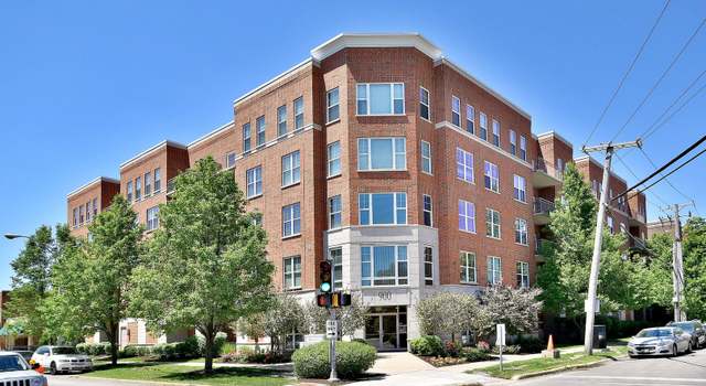 Photo of 900 Lee St #505, Des Plaines, IL 60016