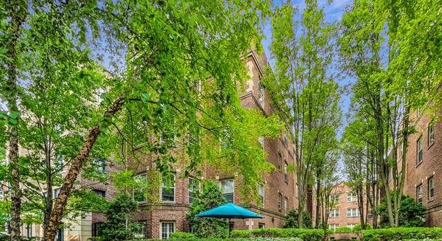 Photo of 217 N Oak Park Ave Unit 2W, Oak Park, IL 60302