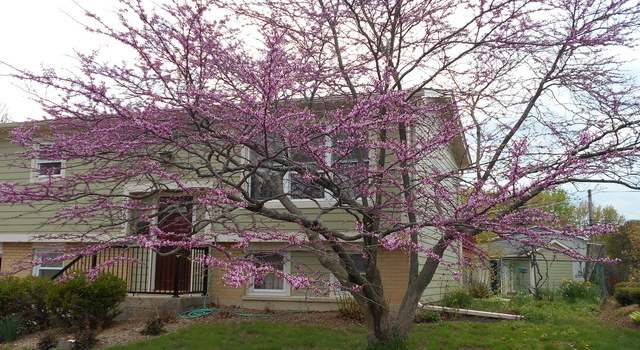 Photo of 5661 James Dr, Oak Forest, IL 60452