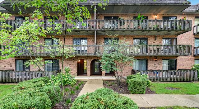 Photo of 444 Redondo Dr #205, Downers Grove, IL 60516
