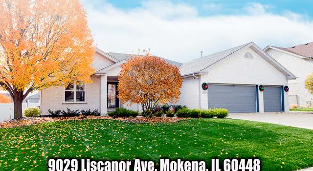 Photo of 9029 Liscanor Ave, Mokena, IL 60448