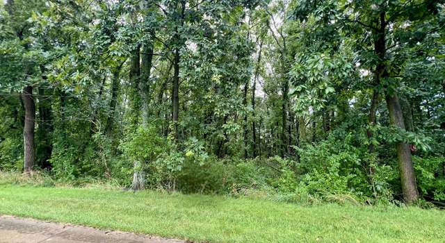 Photo of 1 Lot, Mahomet, IL 61853