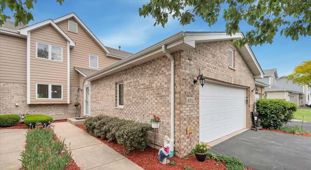 Photo of 8702 Bally Castle Ln, Tinley Park, IL 60487