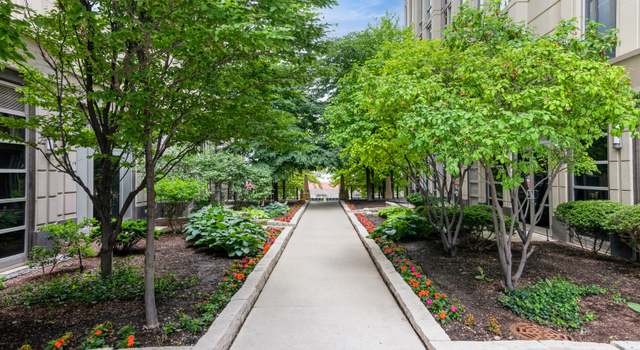 Photo of 700 N Larrabee St #1205, Chicago, IL 60654