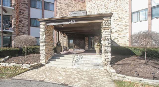 Photo of 250 W Parliament Pl #312, Mount Prospect, IL 60056