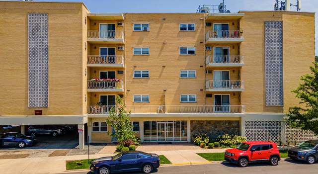 Photo of 7929 W Grand Ave #404, Elmwood Park, IL 60707