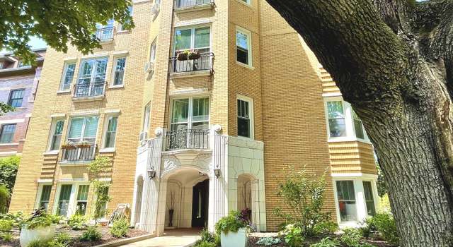Photo of 227 N Grove Ave Unit G, Oak Park, IL 60302