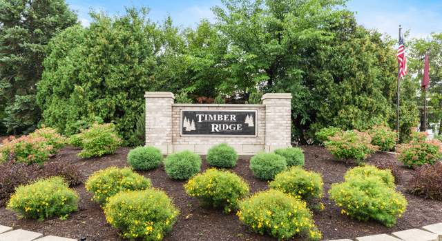 Photo of 528 Moorfield Rd, Matteson, IL 60443