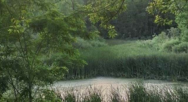 Photo of LOT 18 Orchard Valley Dr, Bull Valley, IL 60050