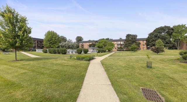 Photo of 1056 N Mill St #306, Naperville, IL 60563